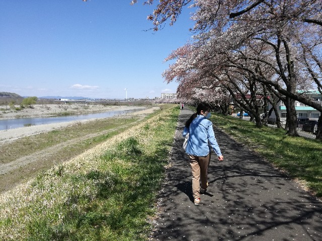 f:id:k-emu:20200406232103j:image