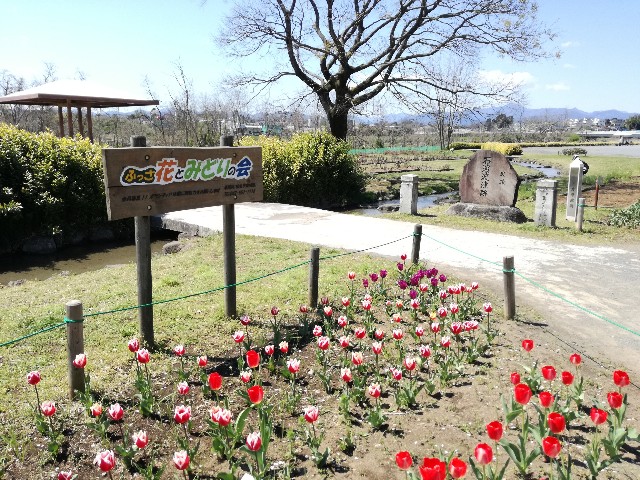 f:id:k-emu:20200406232153j:image