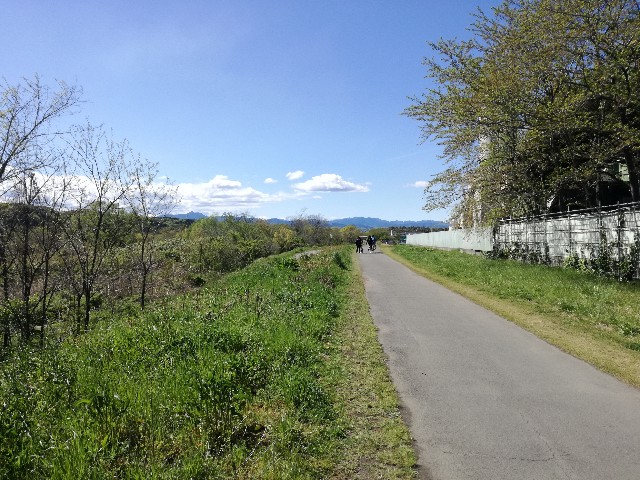 f:id:k-emu:20200420000338j:image