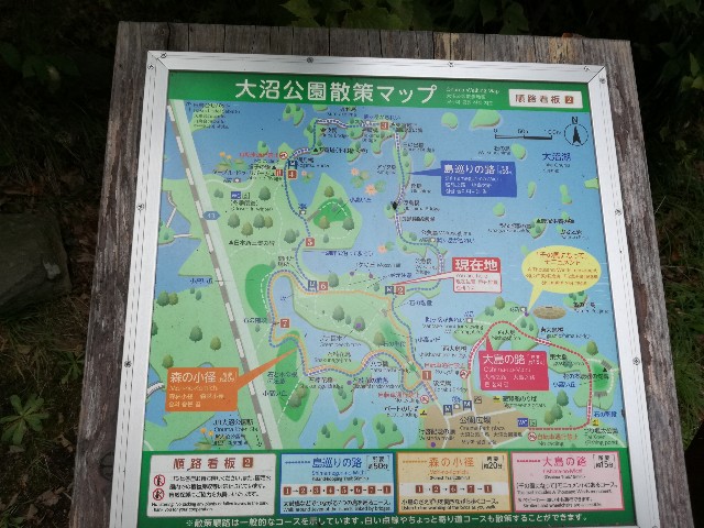 f:id:k-emu:20201009232204j:image