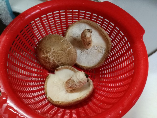 f:id:k-emu:20201117212419j:image