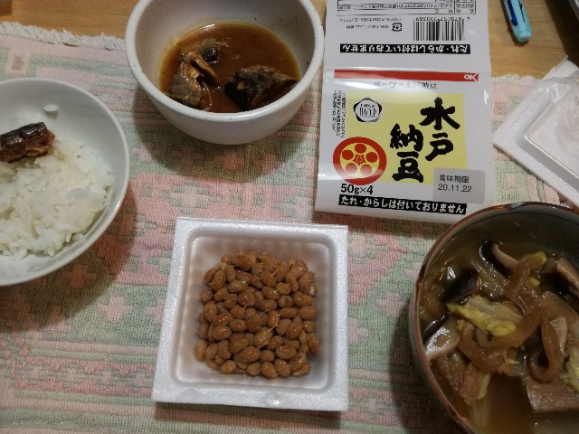 f:id:k-emu:20201121225604j:image