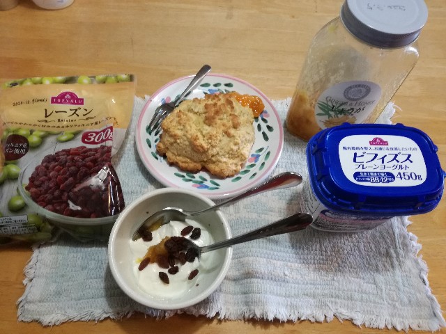 f:id:k-emu:20201209231907j:image