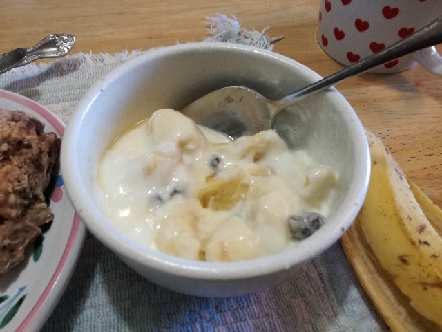 f:id:k-emu:20201215233101j:image