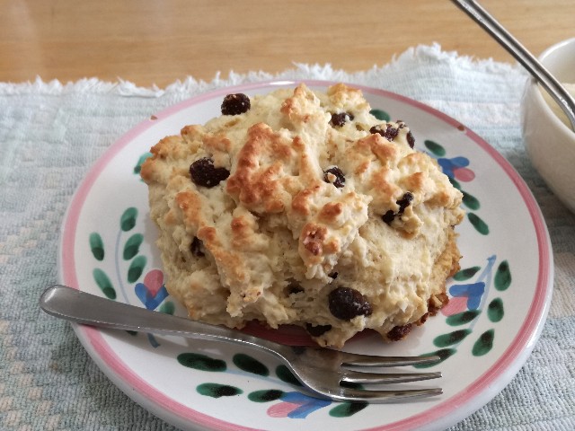 f:id:k-emu:20201217225109j:image