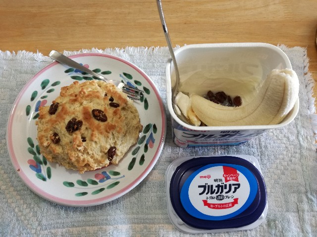 f:id:k-emu:20201226214951j:image