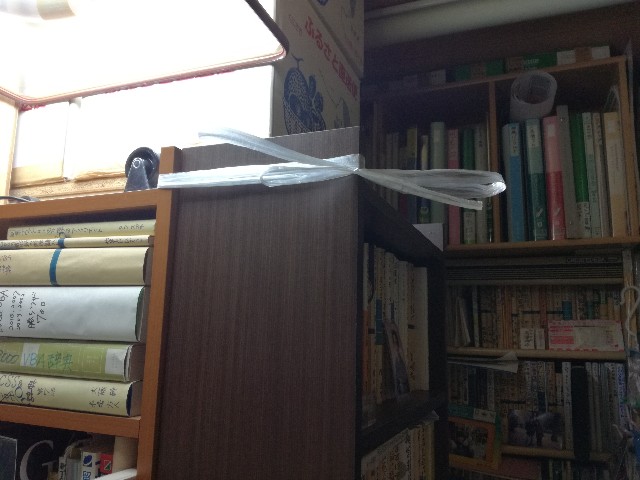 f:id:k-emu:20210118230439j:image