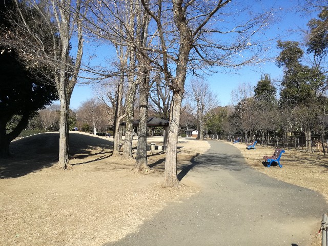 f:id:k-emu:20210121234004j:image