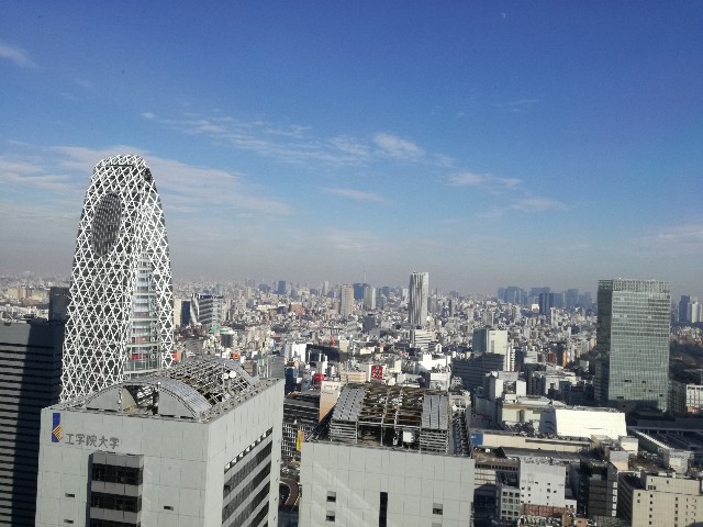 f:id:k-emu:20210122223739j:image