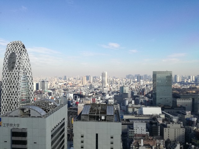 f:id:k-emu:20210122223824j:image