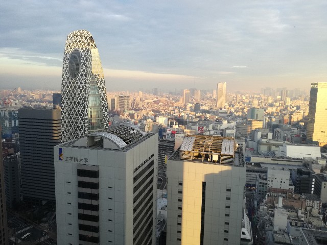 f:id:k-emu:20210122223956j:image