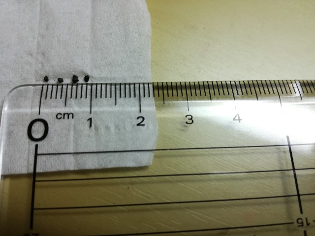 f:id:k-emu:20210130222531j:image