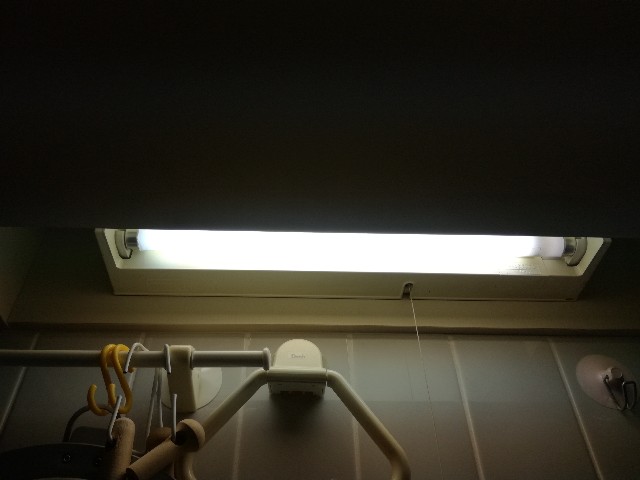 f:id:k-emu:20210206210653j:image f:id:k-emu:20210206210653j:image