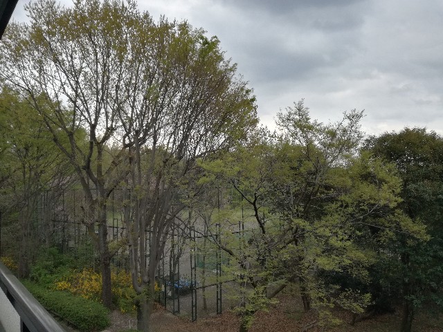 f:id:k-emu:20210403220706j:image
