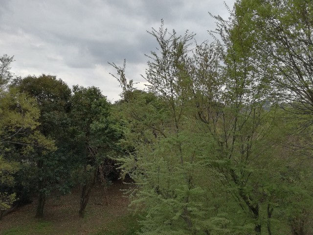 f:id:k-emu:20210403220736j:image