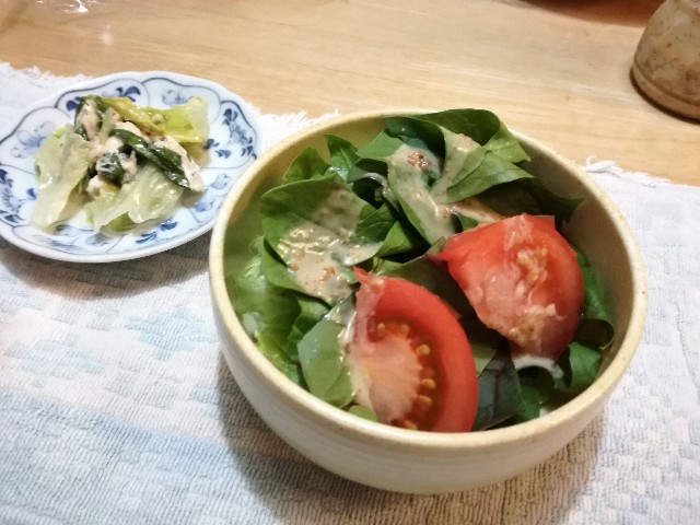 f:id:k-emu:20210406233342j:image