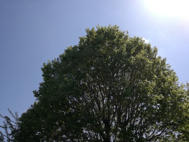 f:id:k-emu:20210407230840j:image