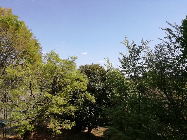 f:id:k-emu:20210407230919j:image