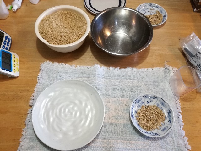 f:id:k-emu:20210408213426j:image