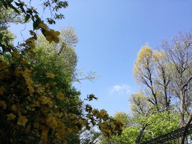 f:id:k-emu:20210408232157j:image