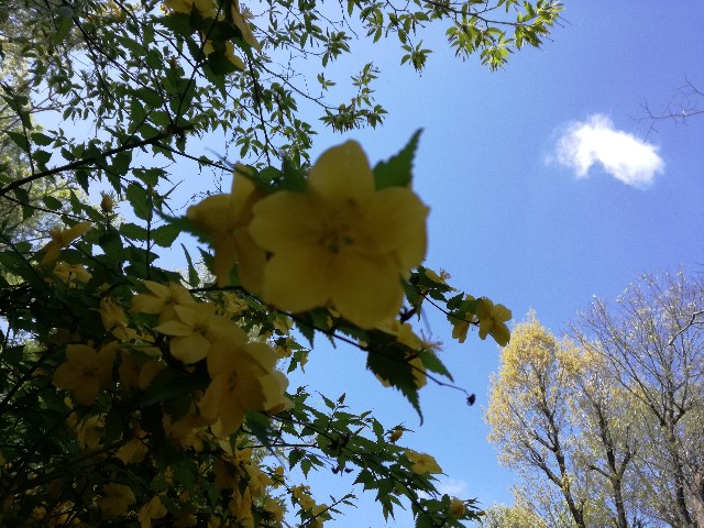 f:id:k-emu:20210408233135j:image
