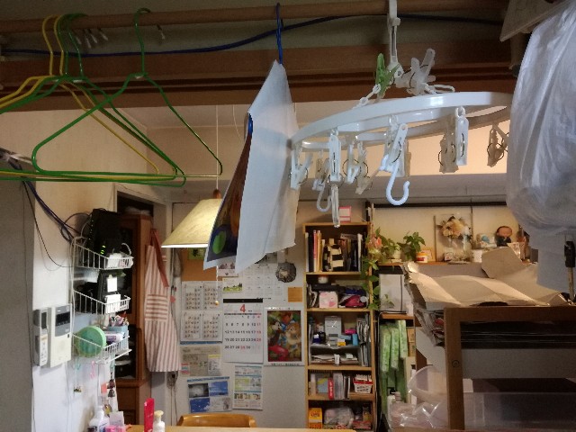 f:id:k-emu:20210419224806j:image