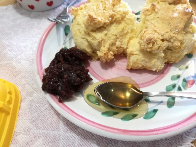 f:id:k-emu:20210505215510j:image