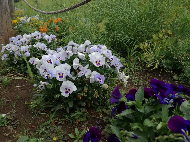 f:id:k-emu:20210516223846j:image