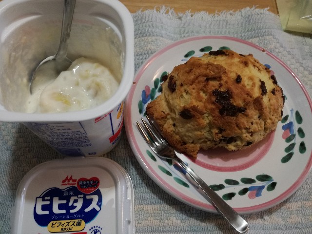 f:id:k-emu:20210607221356j:image