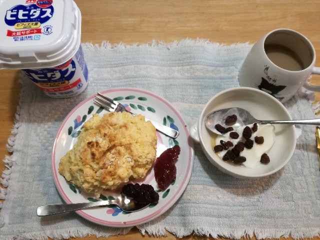 f:id:k-emu:20210610222125j:image
