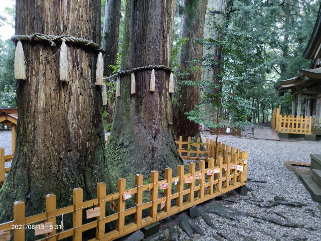 f:id:k-emu:20210813210002j:image