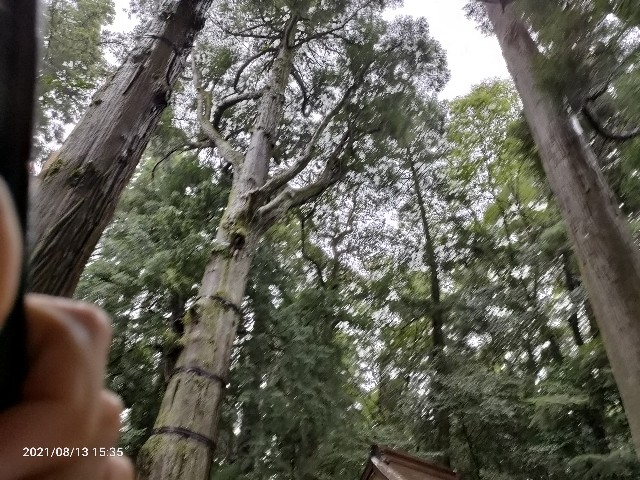 f:id:k-emu:20210813210124j:image