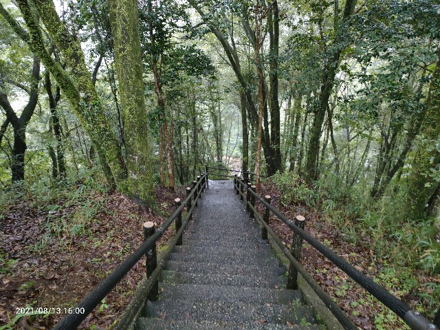 f:id:k-emu:20210820223250j:image