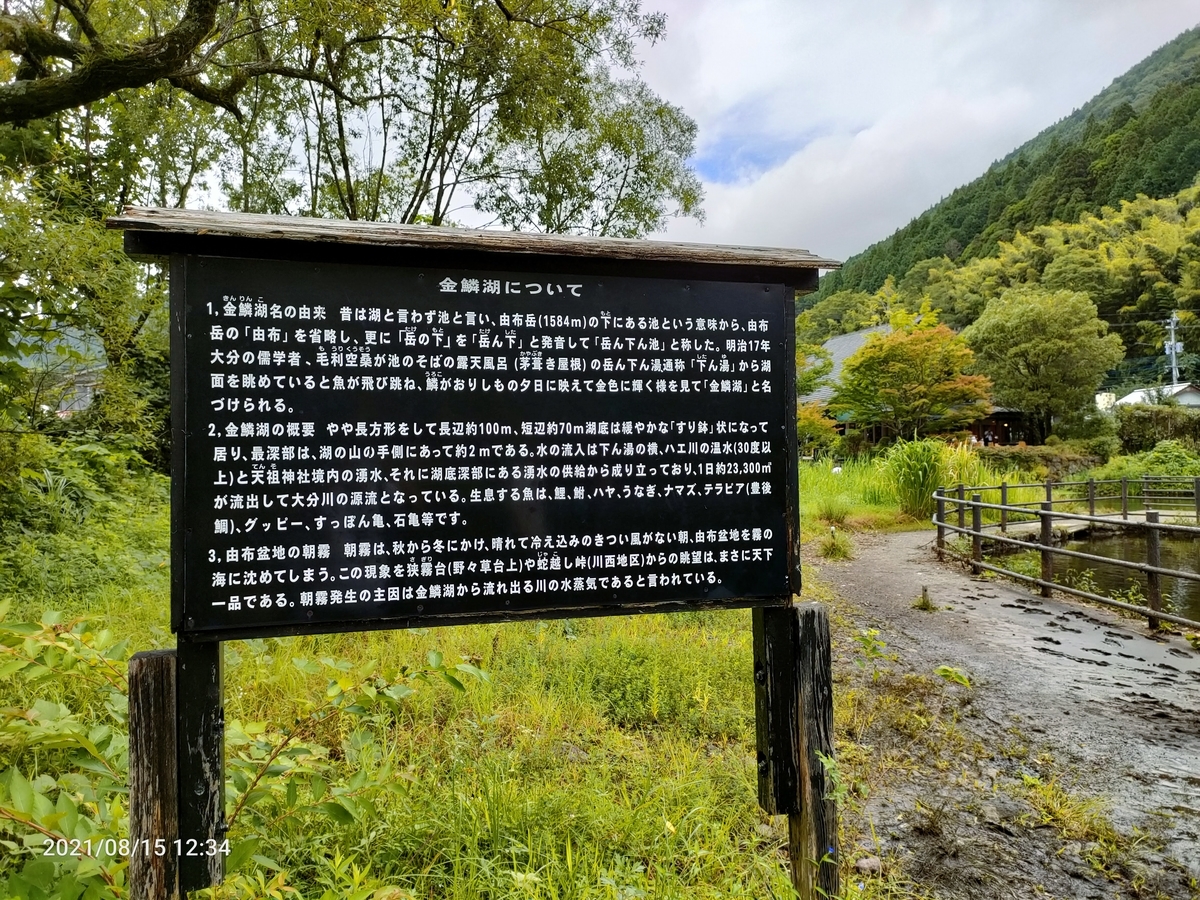 f:id:k-emu:20210822230654j:plain