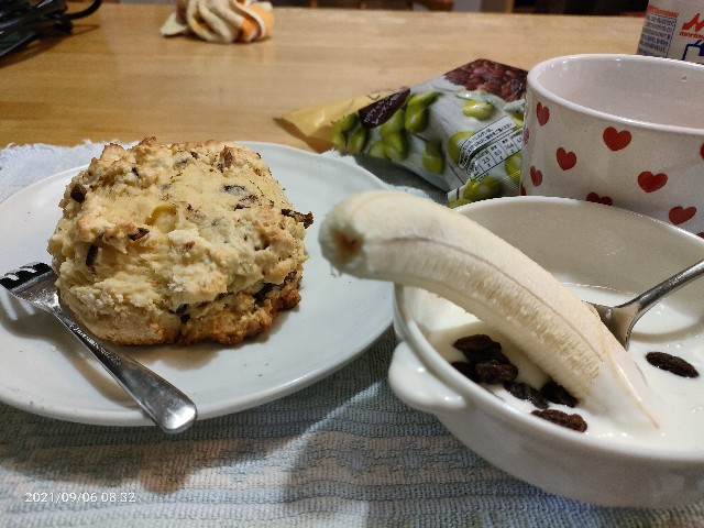 f:id:k-emu:20210907222953j:image