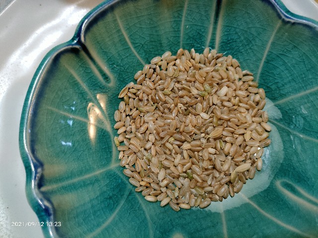 f:id:k-emu:20210913220254j:image