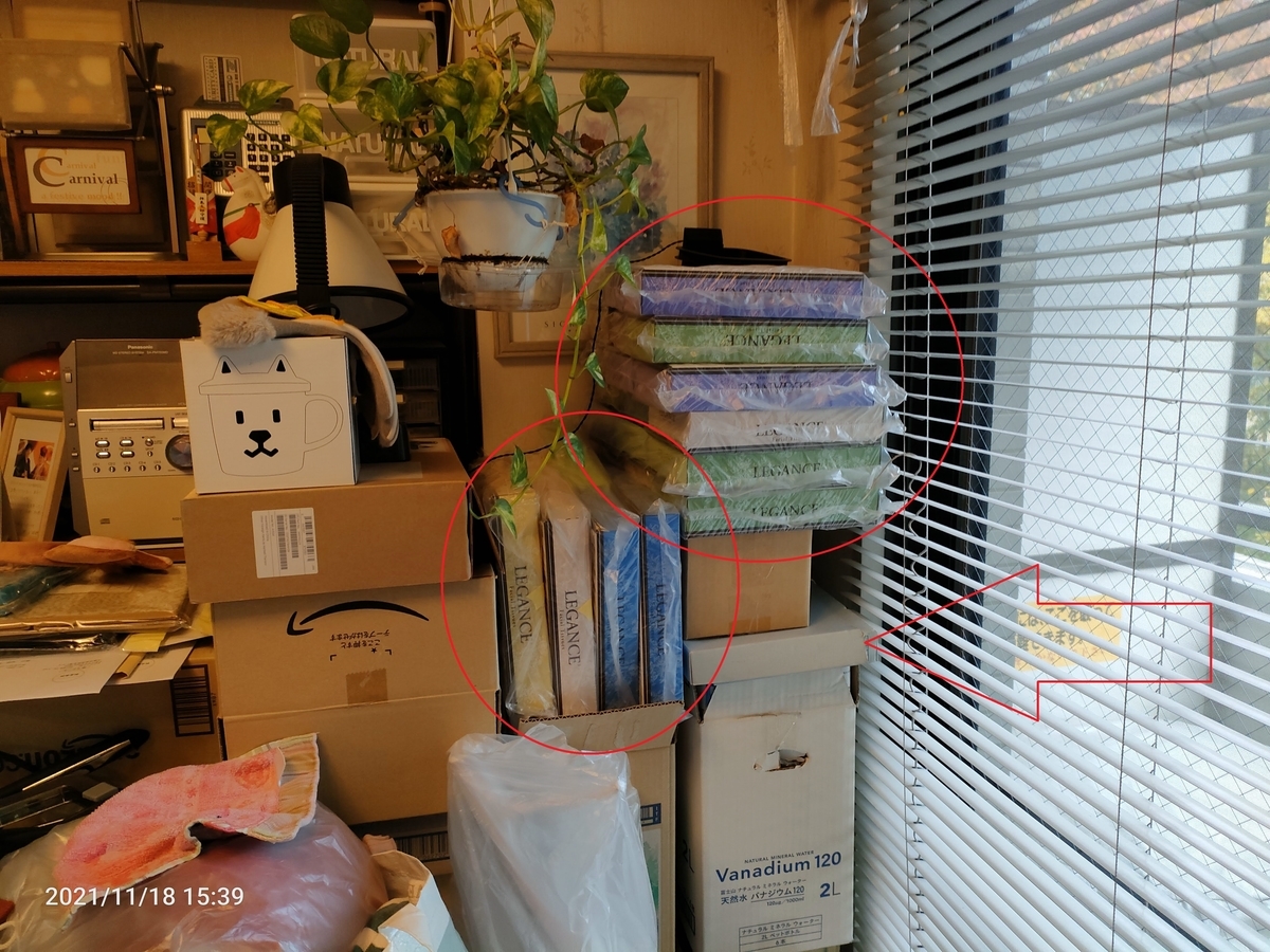 f:id:k-emu:20211118230037j:plain