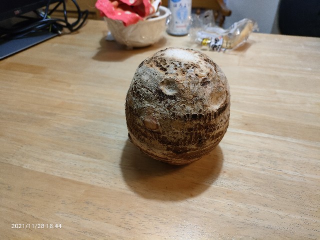 f:id:k-emu:20211129212151j:image