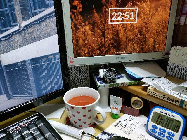 f:id:k-emu:20211213220741j:image