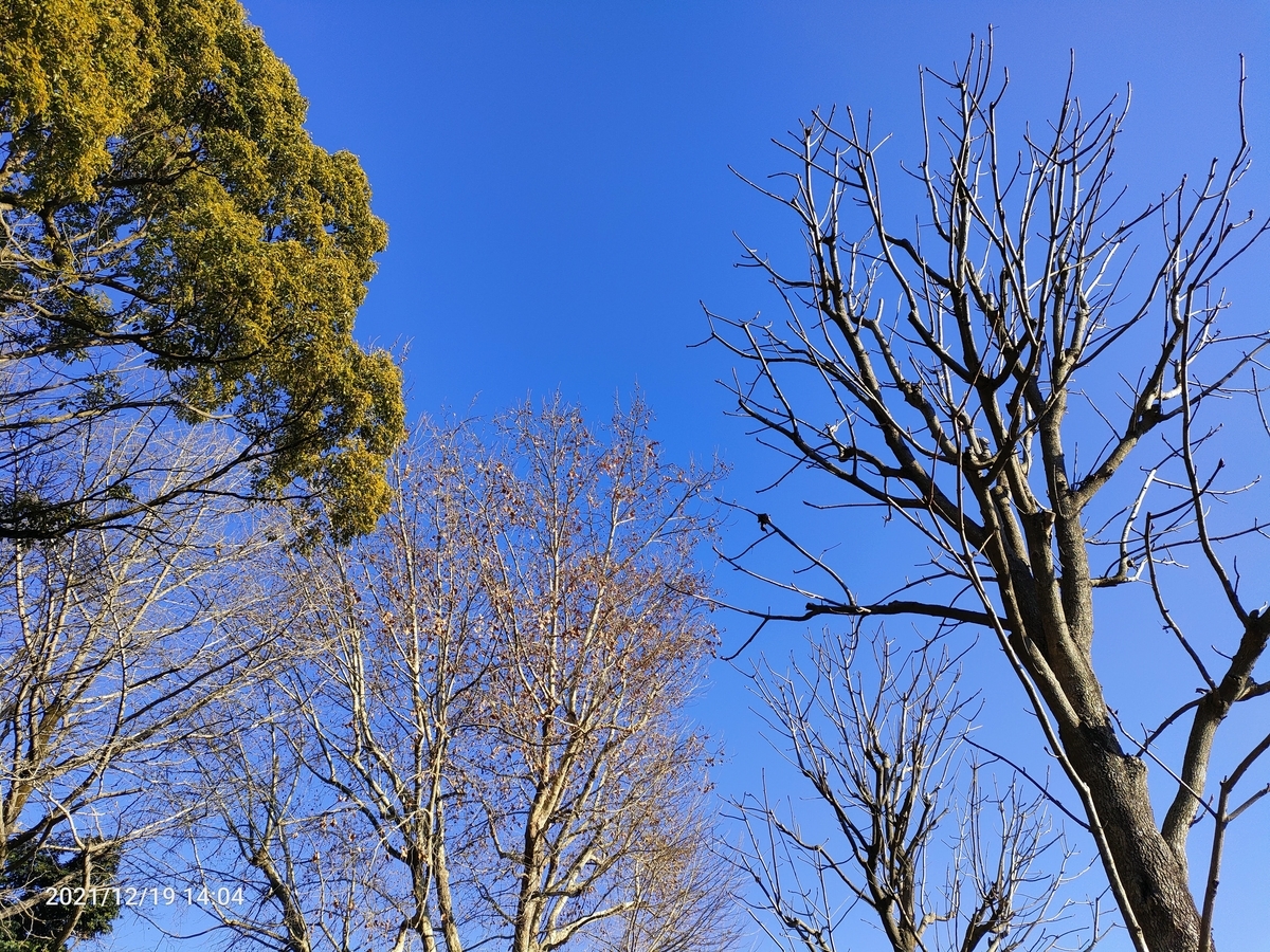 f:id:k-emu:20211219233516j:plain