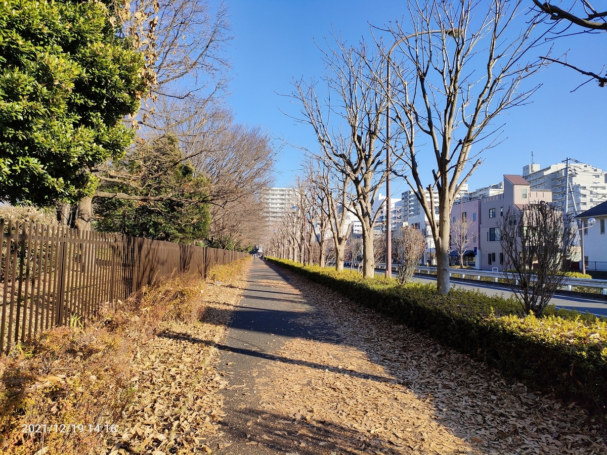 f:id:k-emu:20211219233605j:plain