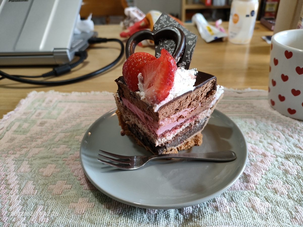 f:id:k-emu:20220215234642j:plain
