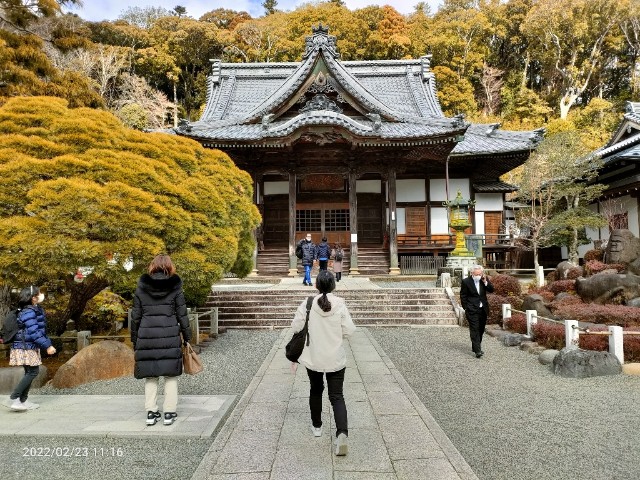 f:id:k-emu:20220223213431j:image
