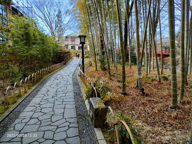 f:id:k-emu:20220223213533j:image