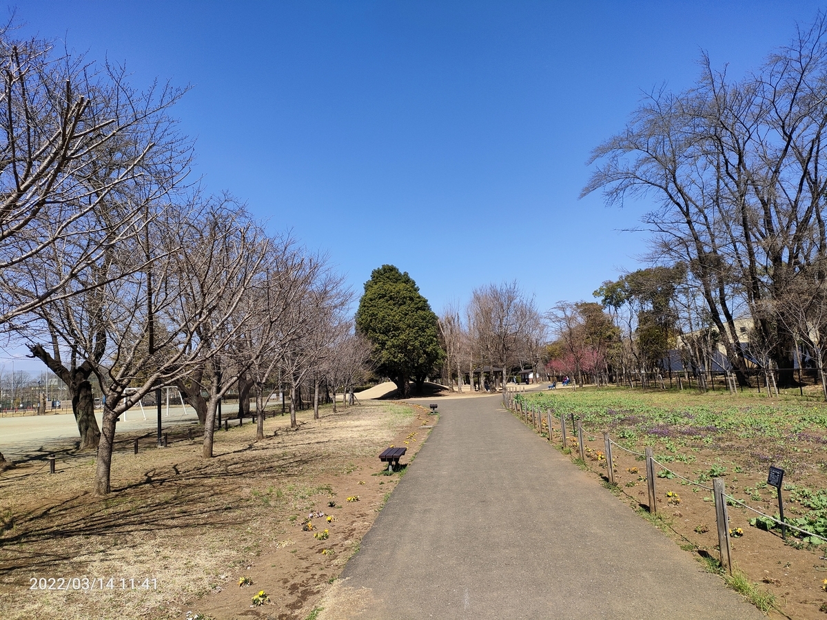 f:id:k-emu:20220314225315j:plain