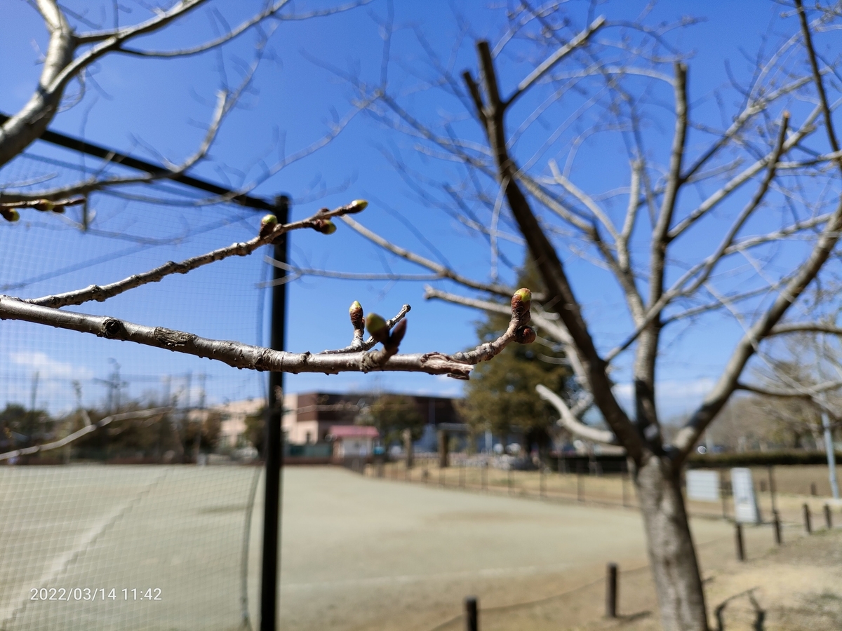 f:id:k-emu:20220314225317j:plain