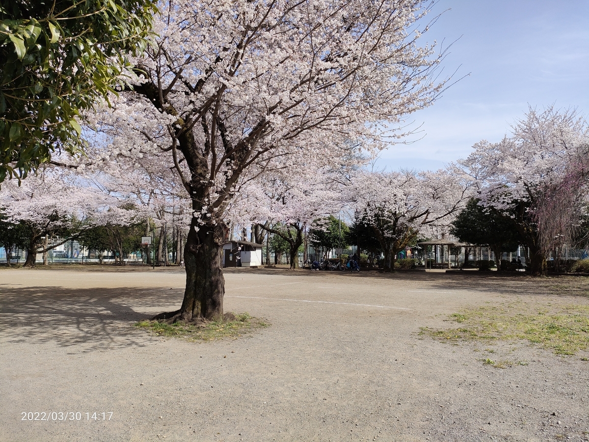 f:id:k-emu:20220401222839j:plain