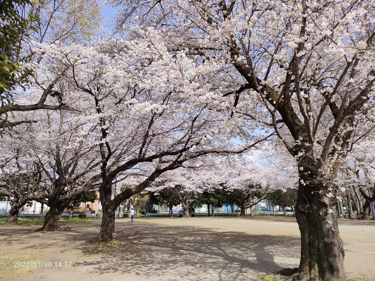 f:id:k-emu:20220401222842j:plain