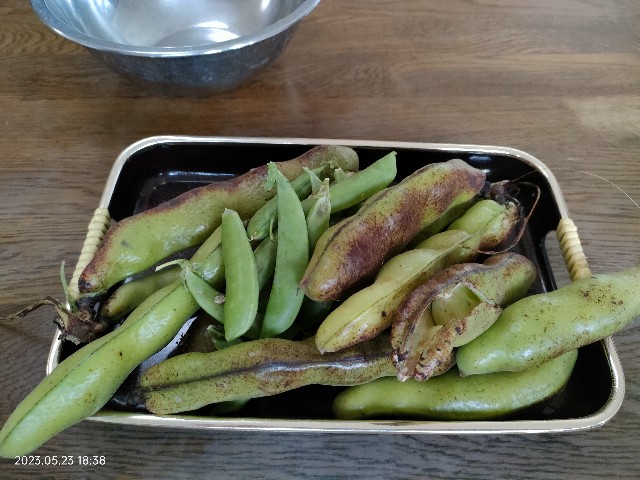 f:id:k-emu:20230523235157j:image