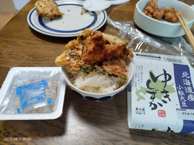 f:id:k-emu:20230812214527j:image